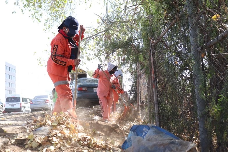 Cuadrilla De Mujeres Recogen 2 5 Toneladas Diarias De Basura En Pachuca