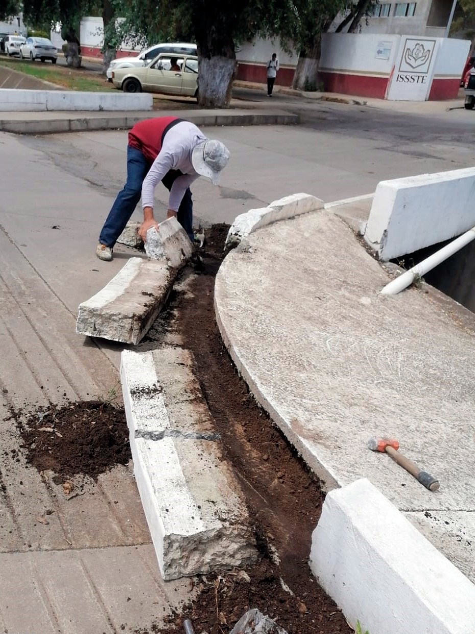 Dan Manita De Gato A Guarniciones En Tulancingo News Hidalgo